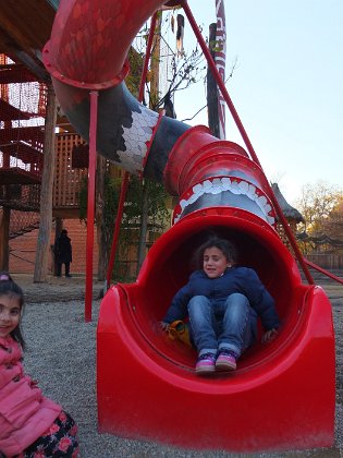 zoo1 (33)
